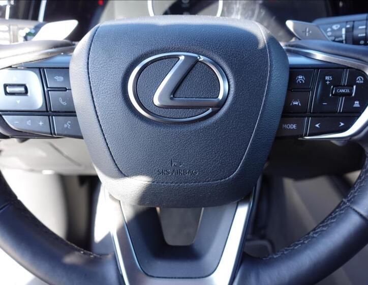 Lexus RX 350h 28