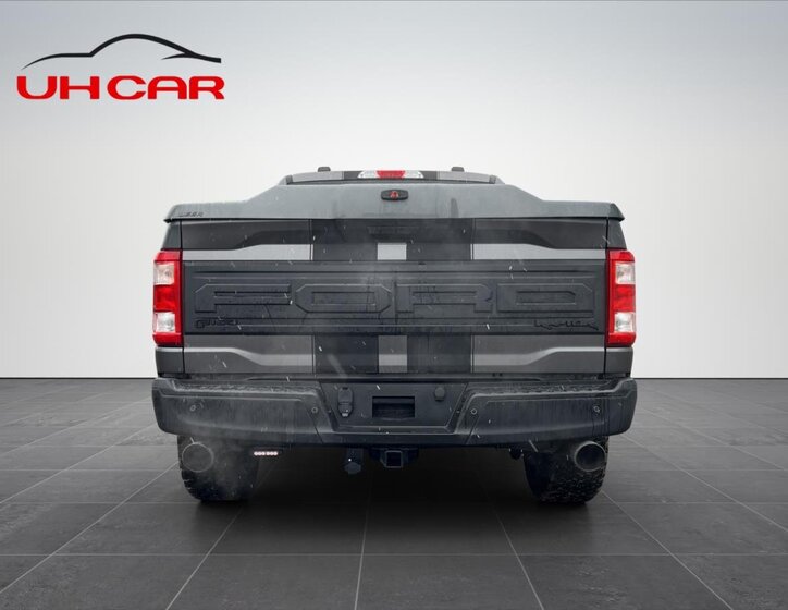 Ford F-150 Pick-up 5,0 l 298 kw