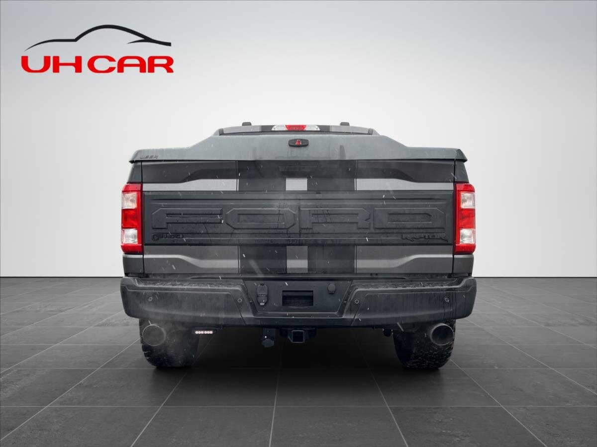 Ford F-150 Pick-up 5,0 l 298 kw