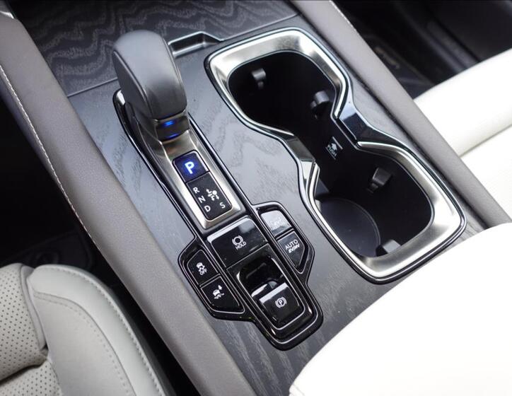 Lexus RX 450h plus 30