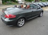 Peugeot 307 21