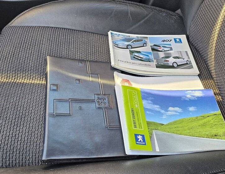 Peugeot 407 Sedan 2,0 l 100 kw