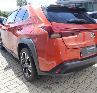 Lexus UX 250h 7