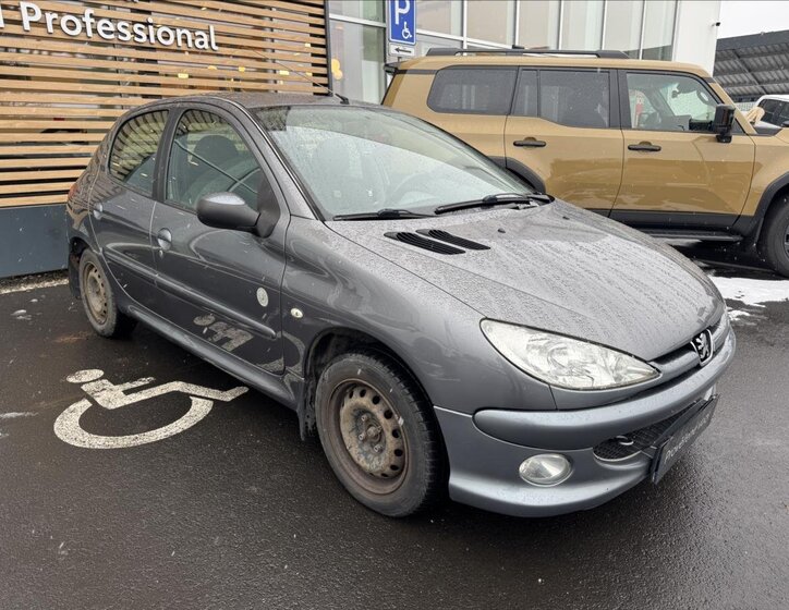 Peugeot 206 Hatchback 1,4 l 55 kw