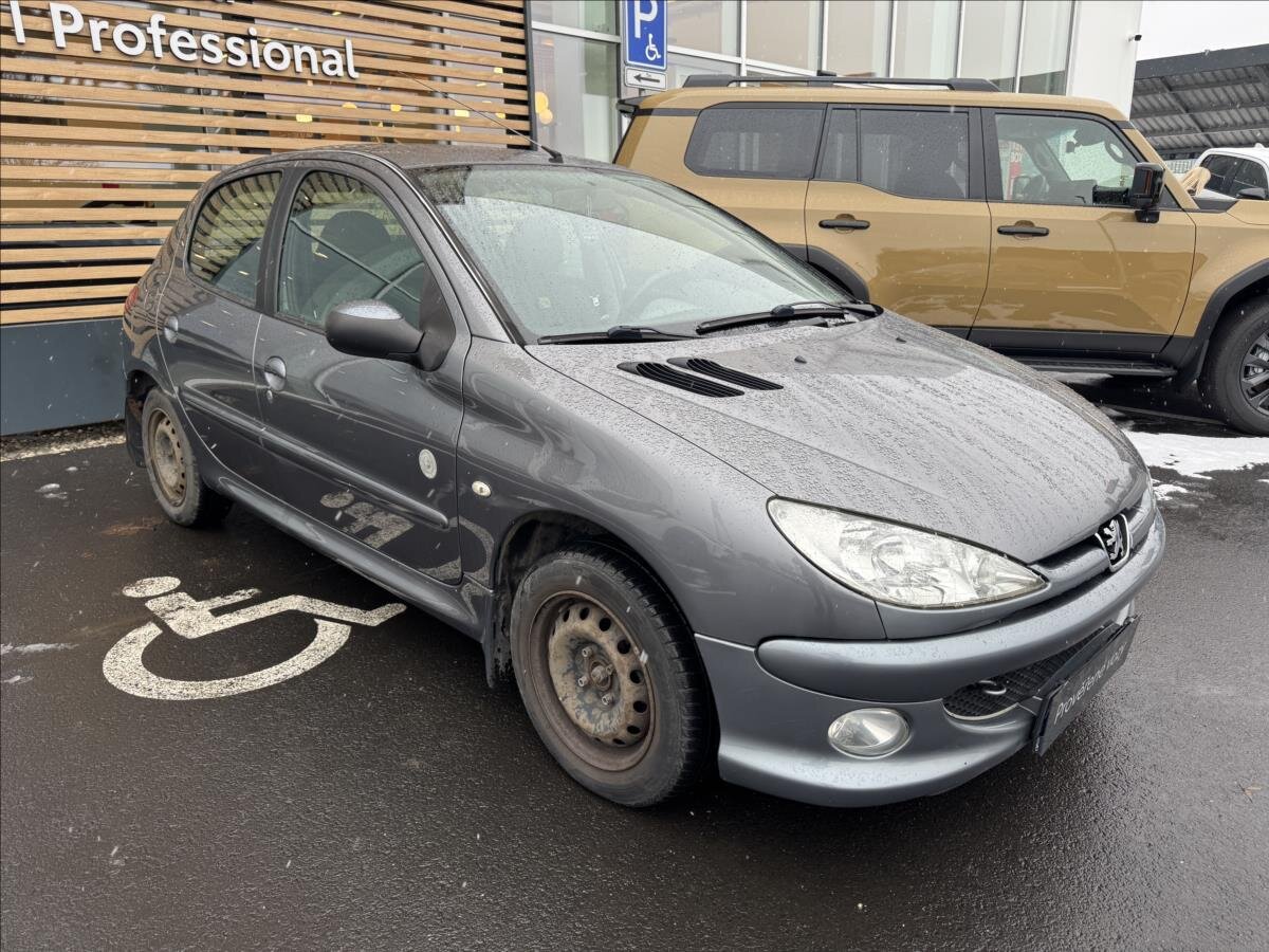 Peugeot 206 Hatchback 1,4 l 55 kw
