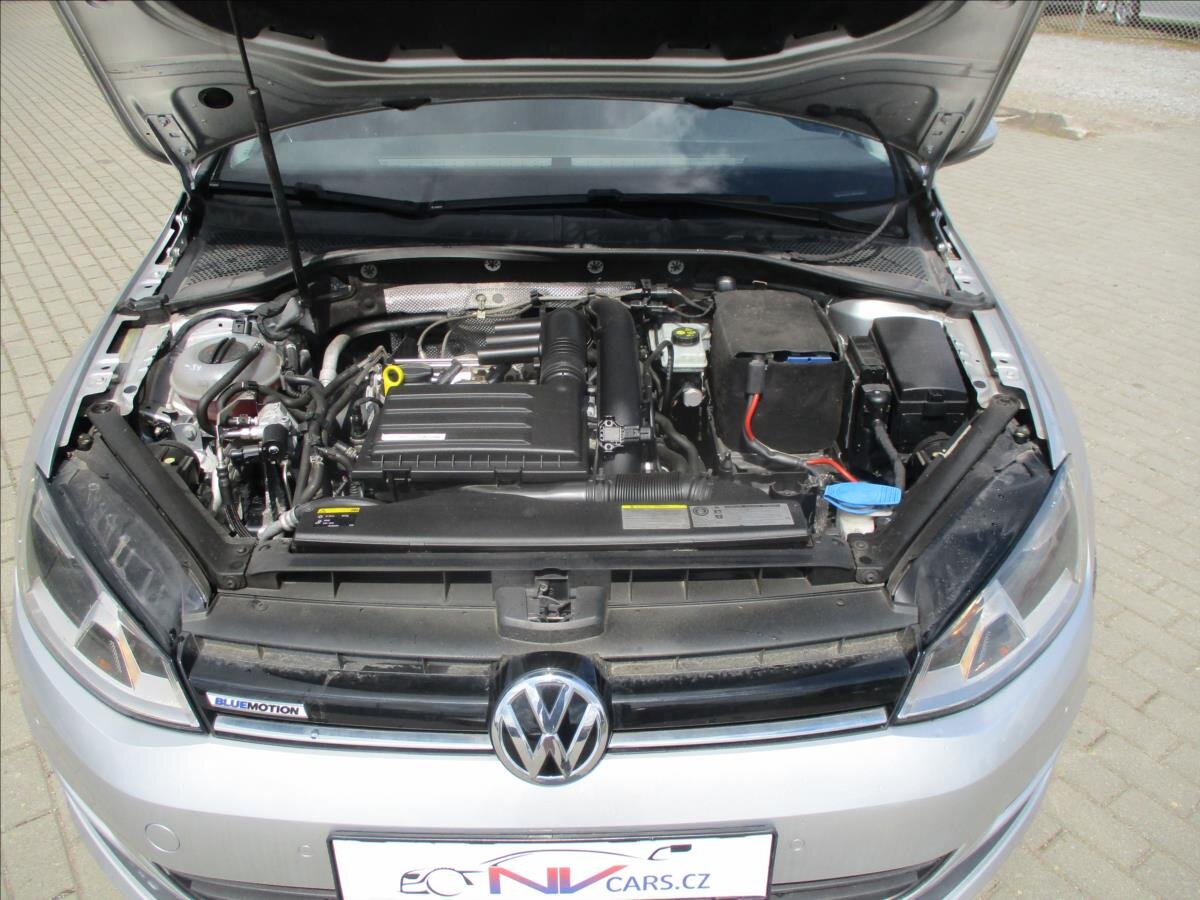 Volkswagen Golf Hatchback 1,4 l 81 kw
