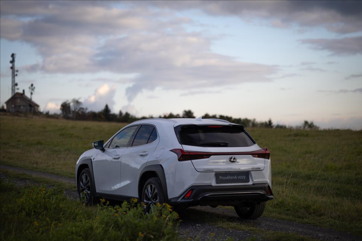 Lexus UX 300h