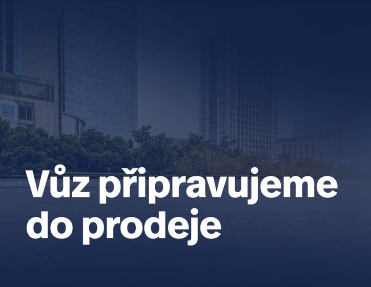 Ford Puma SUV / Terénní 999,0 92 kw