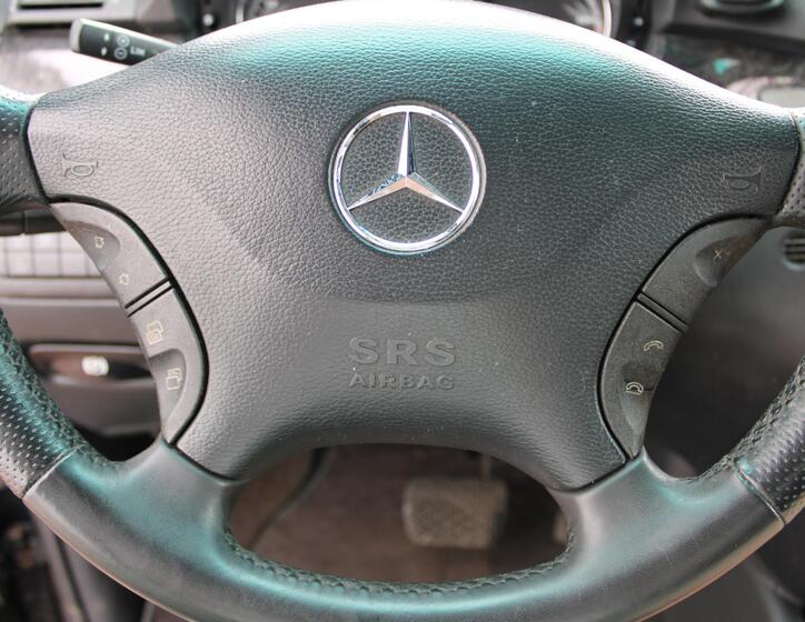 Mercedes-Benz Viano 19