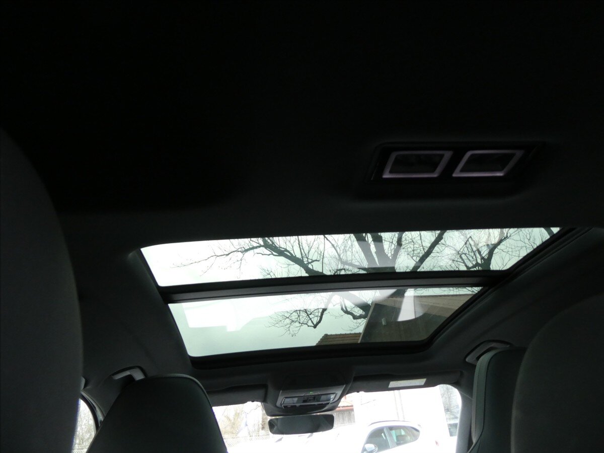 Cupra Terramar SUV / Terénní 2,0 l 195 kw