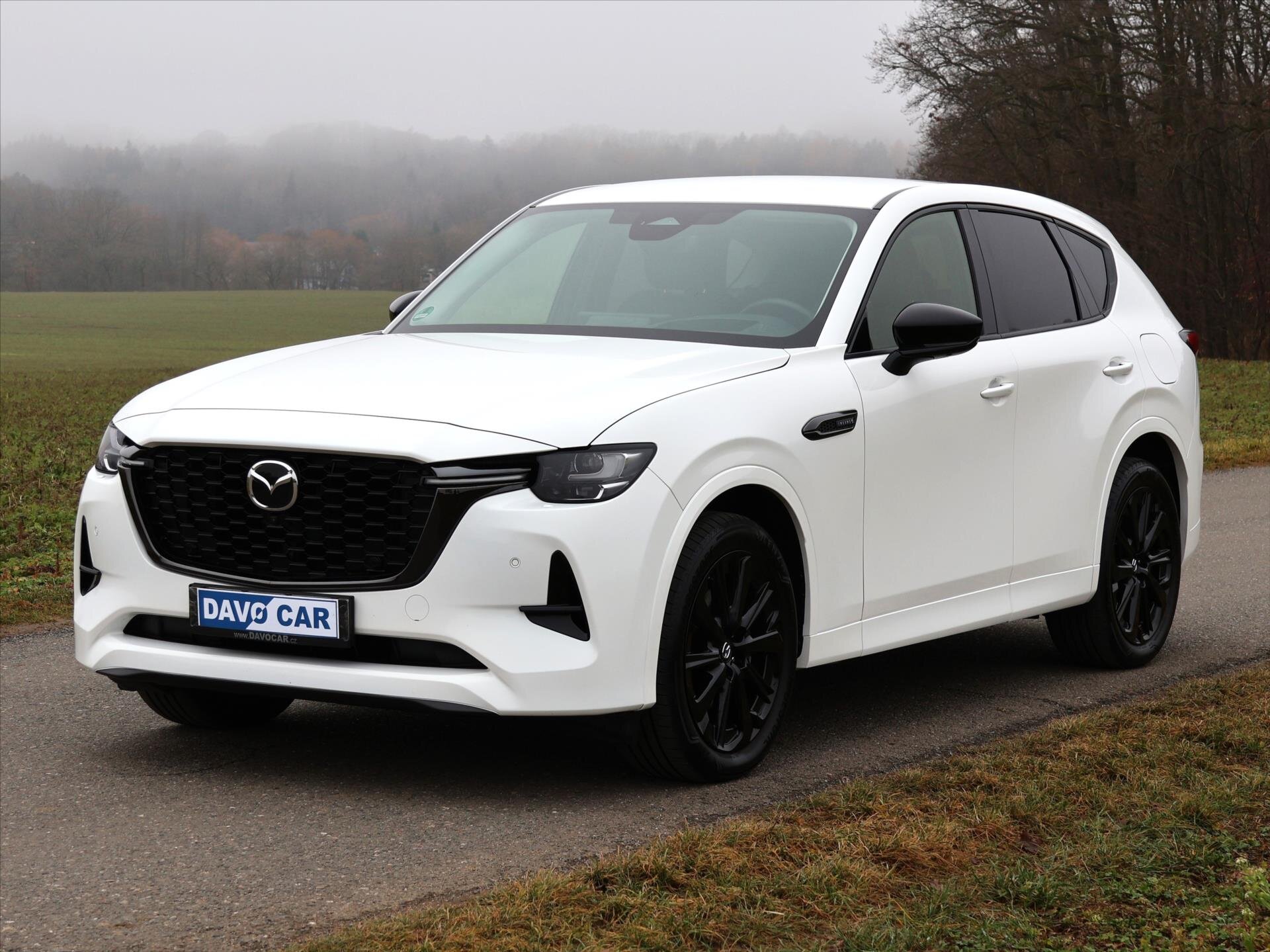 Mazda CX-60 SUV 3,3 l 187 kw