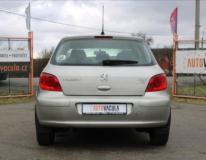 Peugeot 307 Hatchback 1,6 l 66 kw