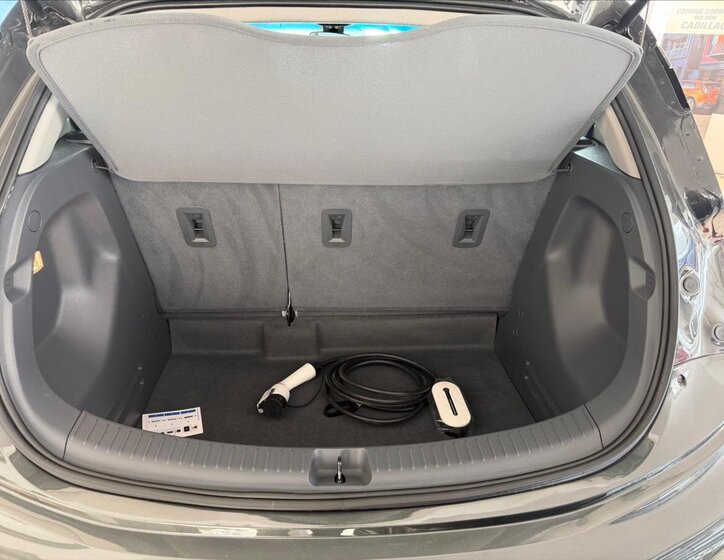 Chevrolet Bolt Hatchback 0,0 149 kw