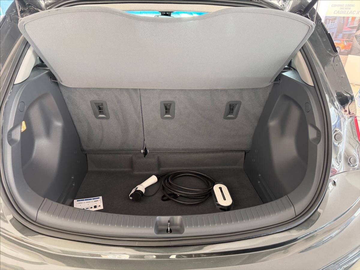 Chevrolet Bolt Hatchback 0,0 149 kw