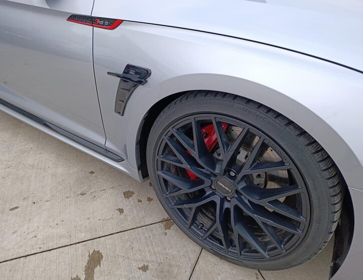 Audi RS 5 Ostatní 2,9 l 331 kw