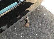 Škoda Superb Kombi 2,0 l 140 kw