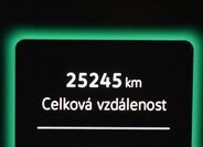 Volkswagen Passat 17