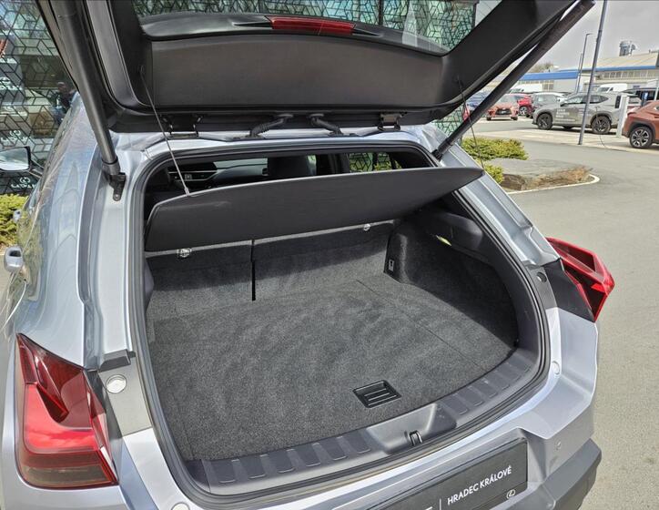 Lexus UX 250h 13