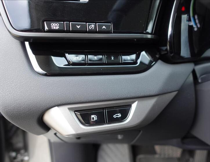 Lexus RX 450h plus 34