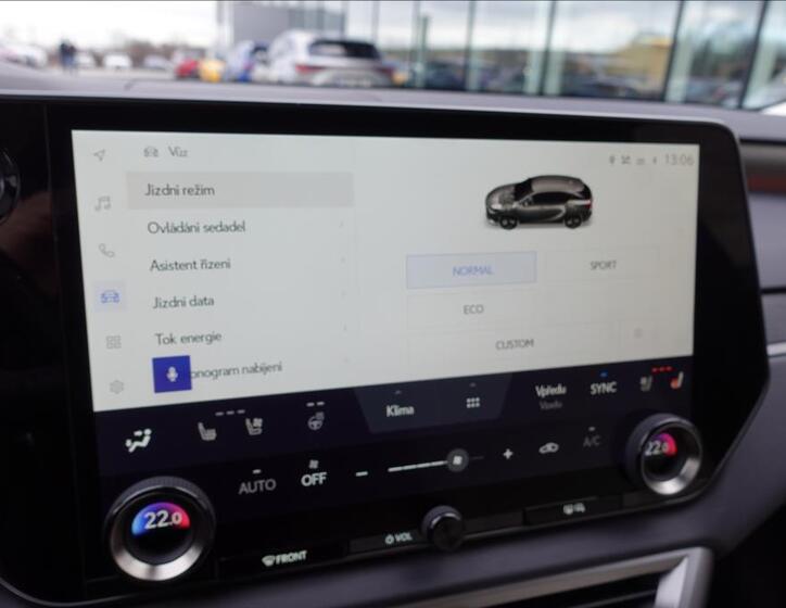 Lexus RX 450h plus 24