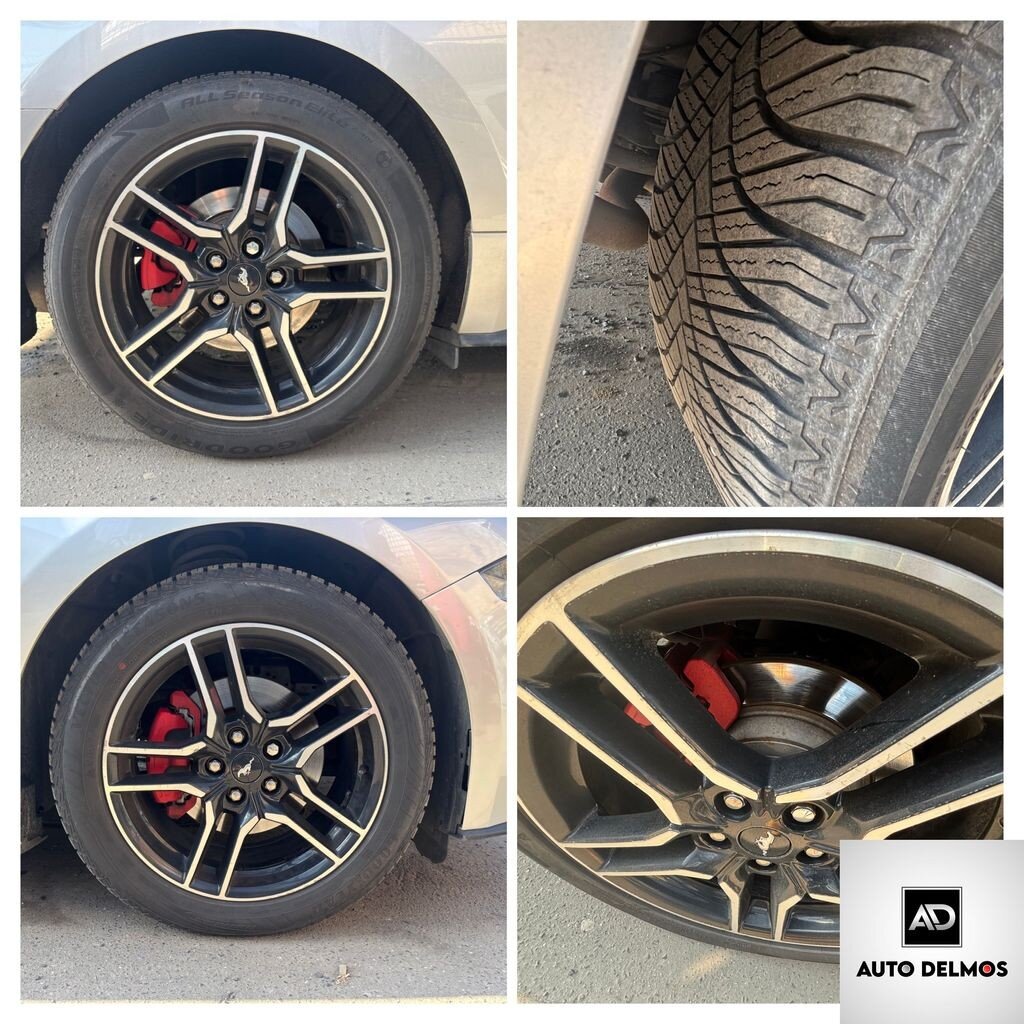 Ford Mustang Kupé 2,3 l 231 kw