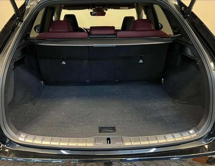 Lexus RX 500h 9