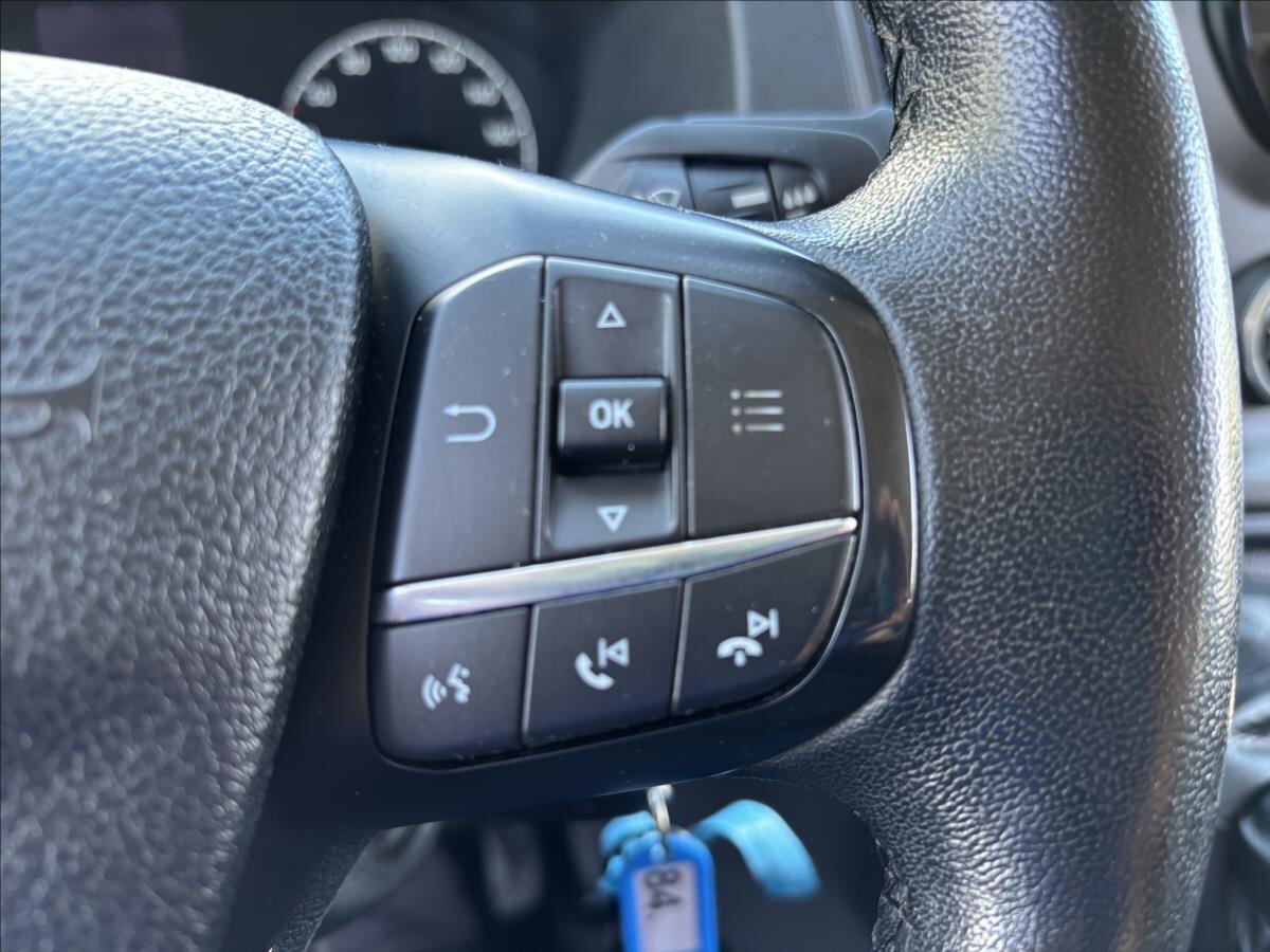 Ford Transit Custom Ostatní 2,0 l 96 kw