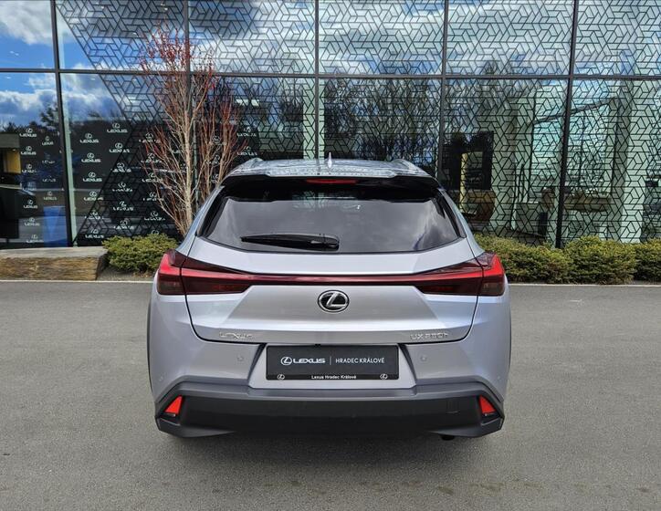 Lexus UX 250h 10