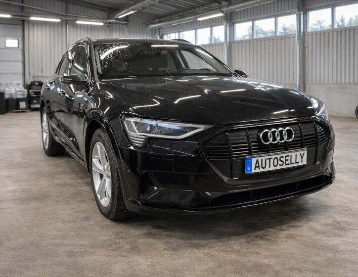 Audi e-tron Kombi 0,0 230 kw