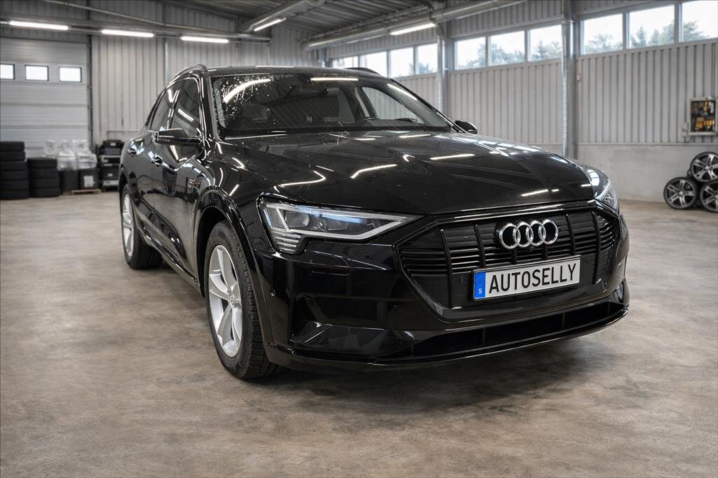 Audi e-tron Kombi 0,0 230 kw