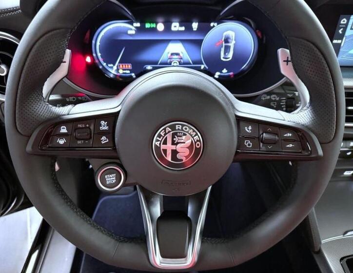 Alfa Romeo Stelvio 18