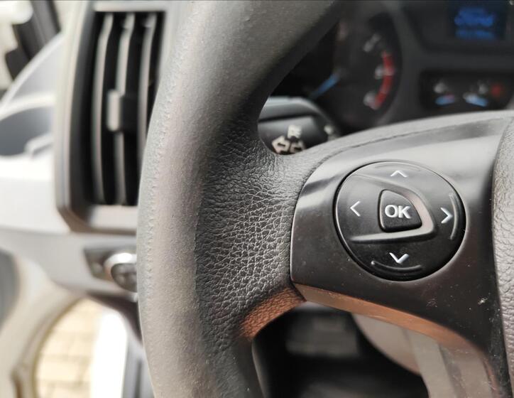 Ford Transit 19