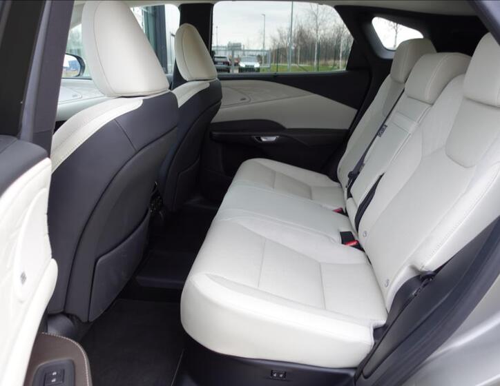 Lexus RX 450h plus 12