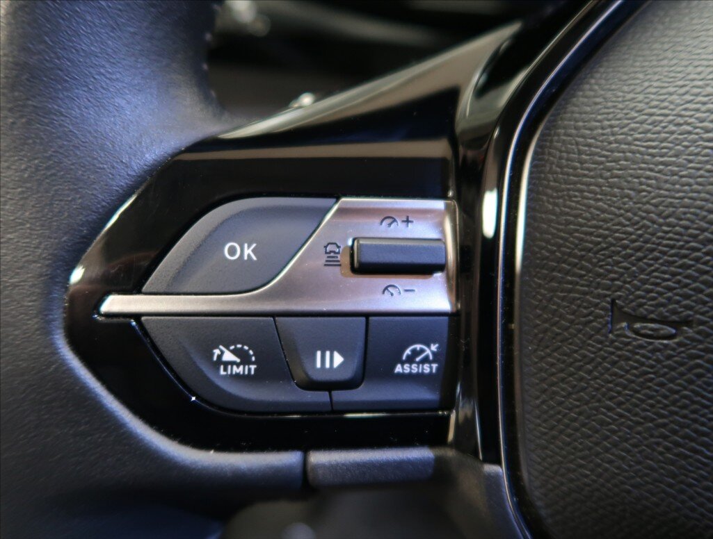 Peugeot 308 Hatchback 1,2 l 96 kw