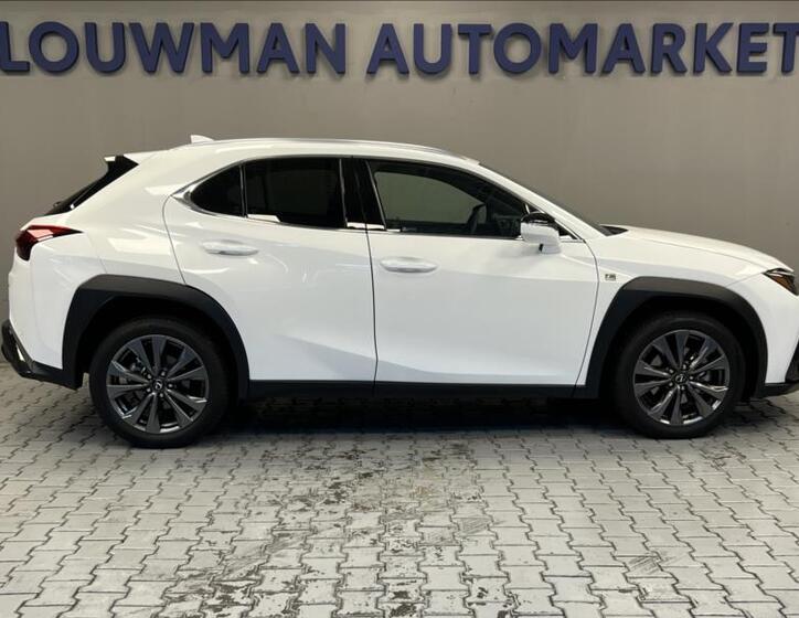 Lexus UX 300h 14