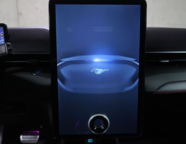 Ford Mustang Mach-E 20