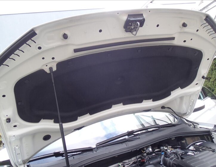 Volkswagen Tiguan SUV / Terénní 2,0 l 110 kw