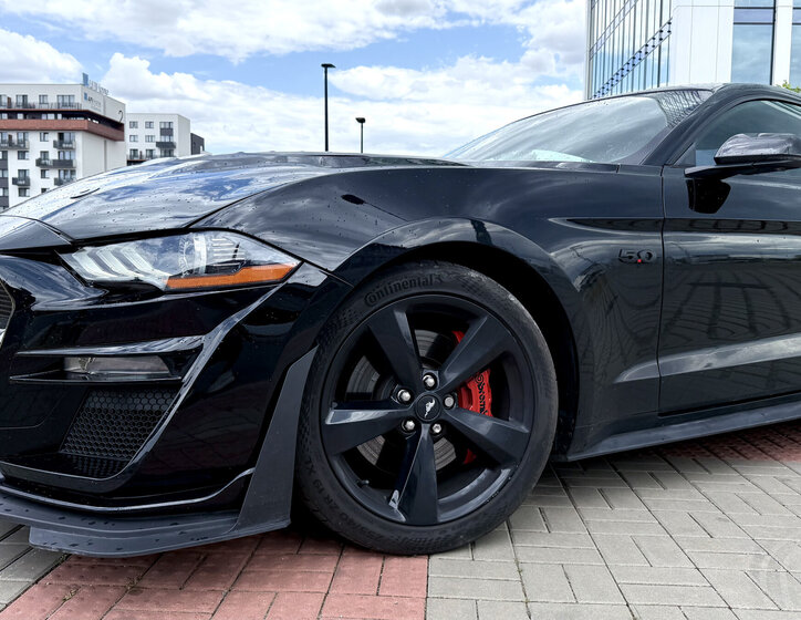 Ford Mustang Kupé 5,0 l 310 kw