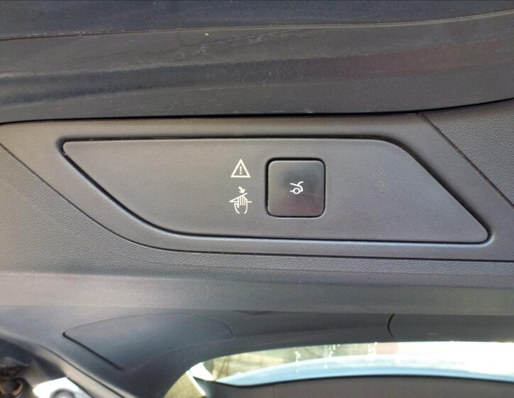 Citroën Grand C4 Picasso Kombi 2,0 l 110 kw