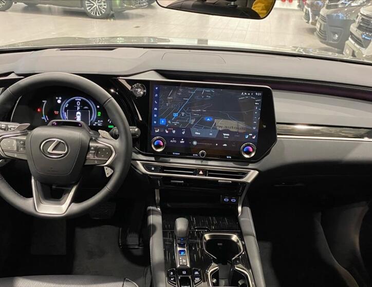 Lexus RX 450h plus 15