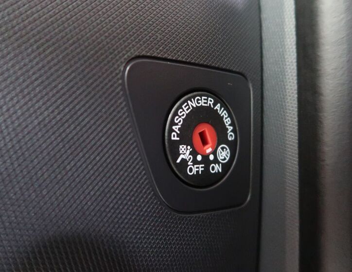 Ford Mustang Mach-E 15