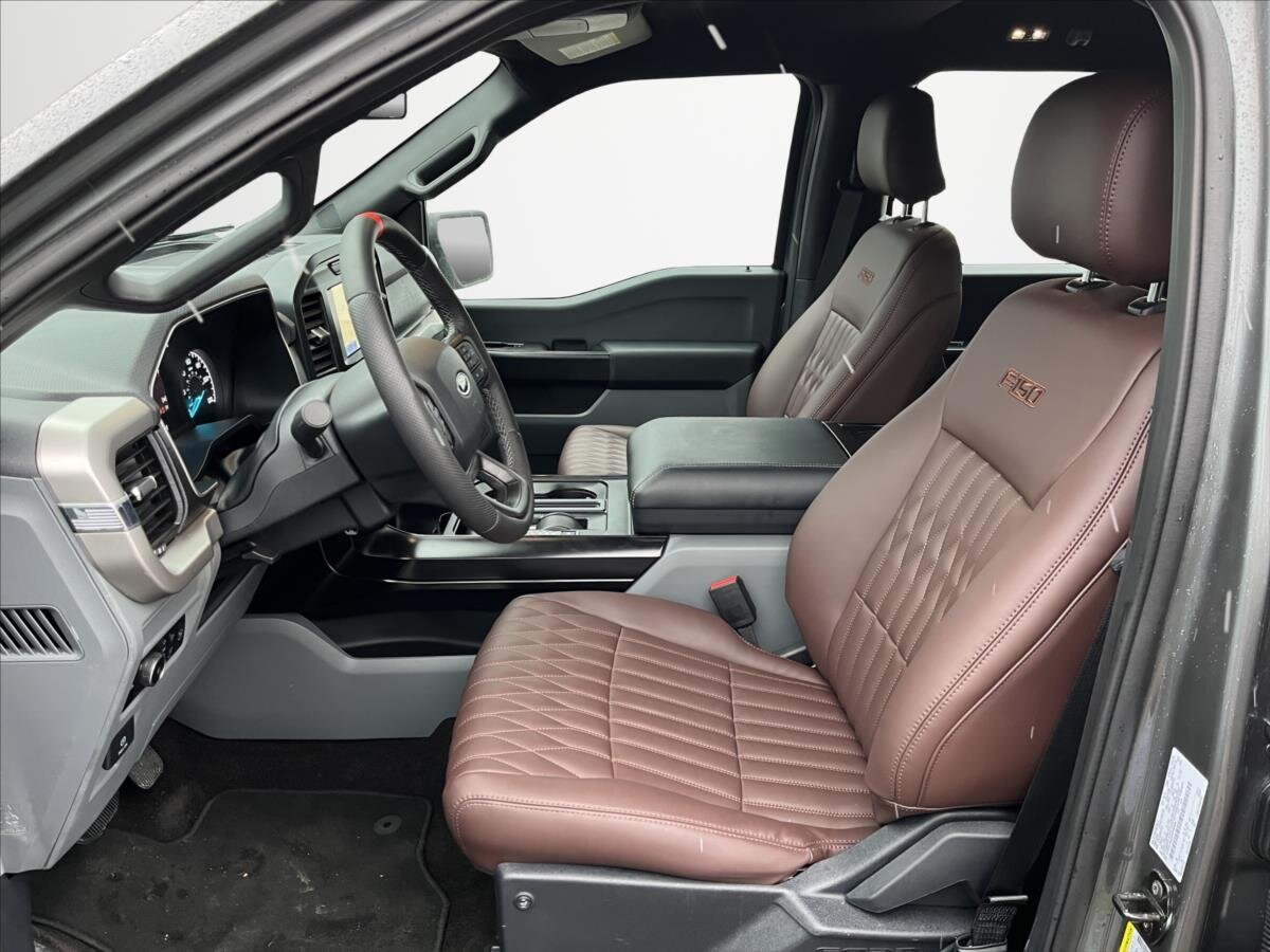 Ford F-150 Pick-up 5,0 l 298 kw