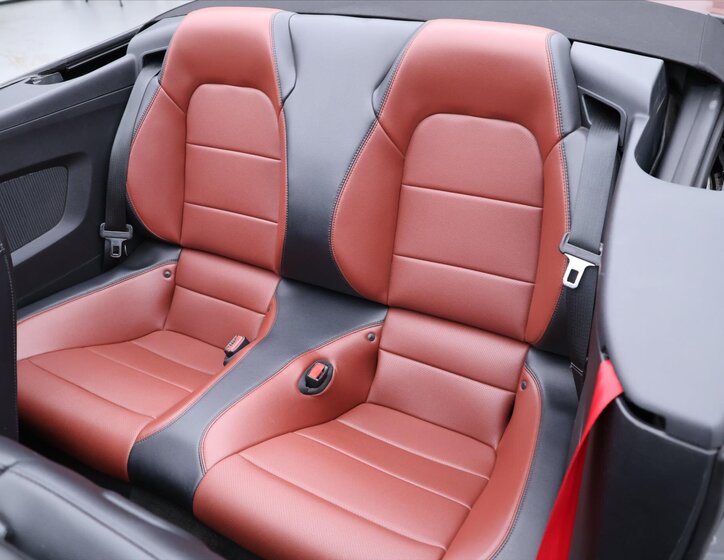 Ford Mustang Kabriolet 5,0 l 310 kw