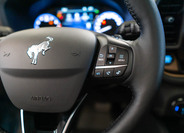 Ford Bronco Sport 19