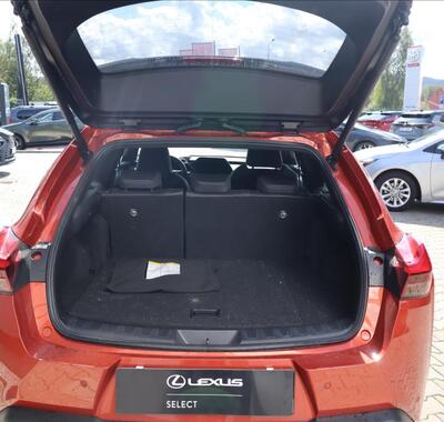 Lexus UX 250h 10