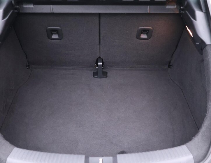 Volkswagen Beetle 10