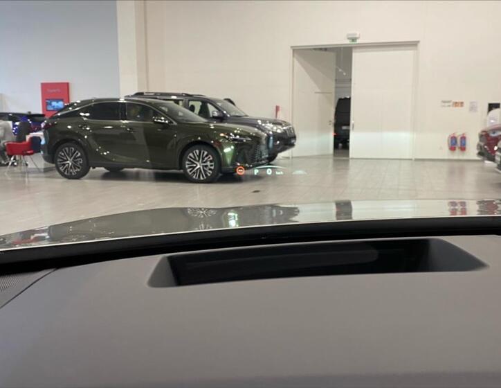 Lexus RX 450h plus 14