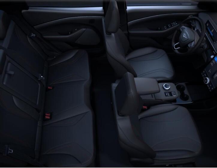 Ford Mustang Mach-E 2