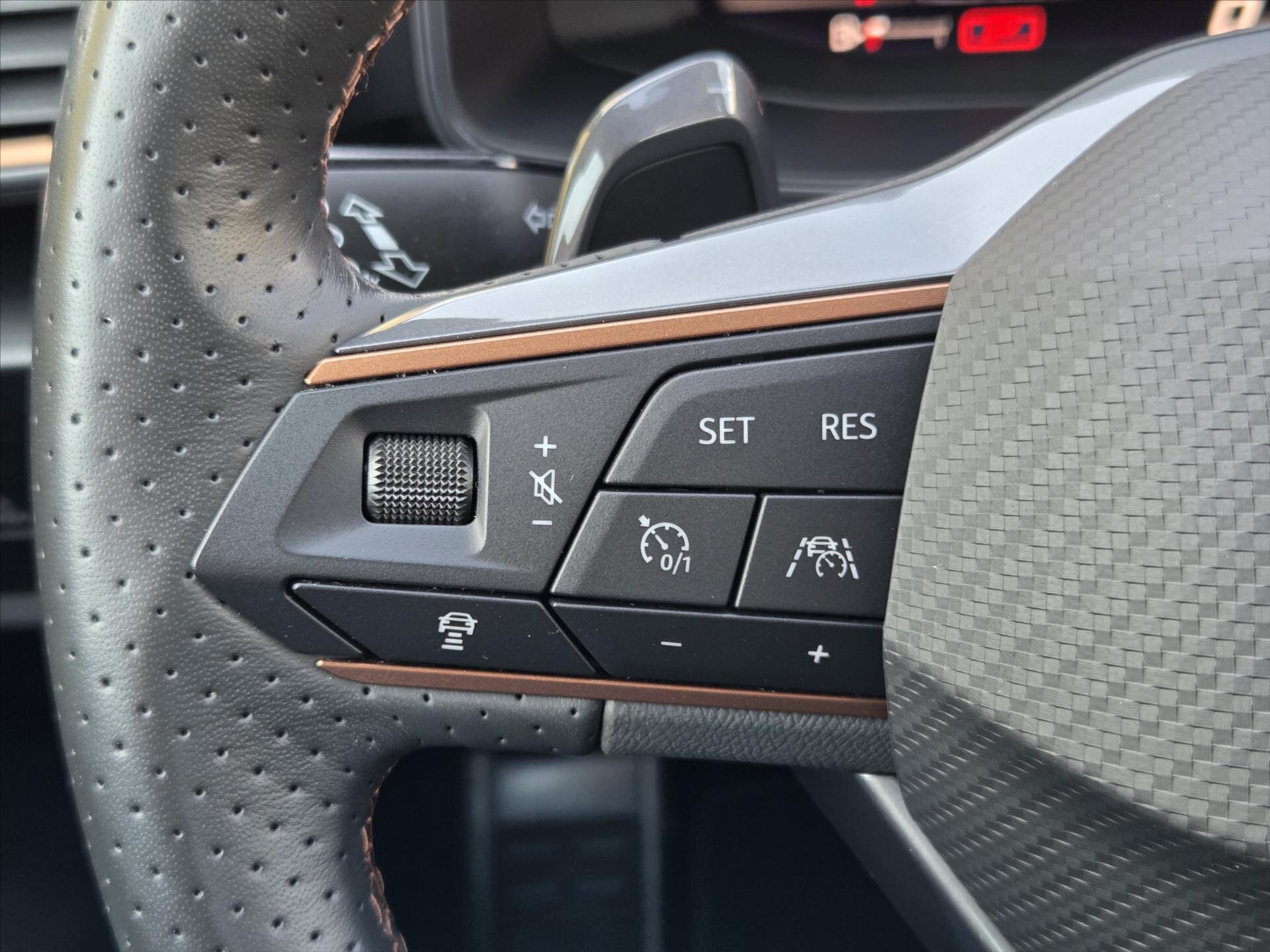 Cupra Formentor SUV / Terénní 2,0 l 180 kw