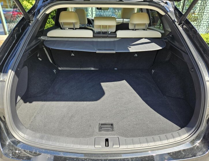 Lexus RX 450h SUV / Terénní 2,5 l 227 kw